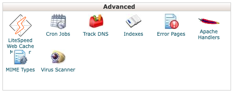 An image showing the advanced apps under cPanel